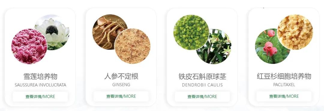 中國(guó)美容博覽會(huì)