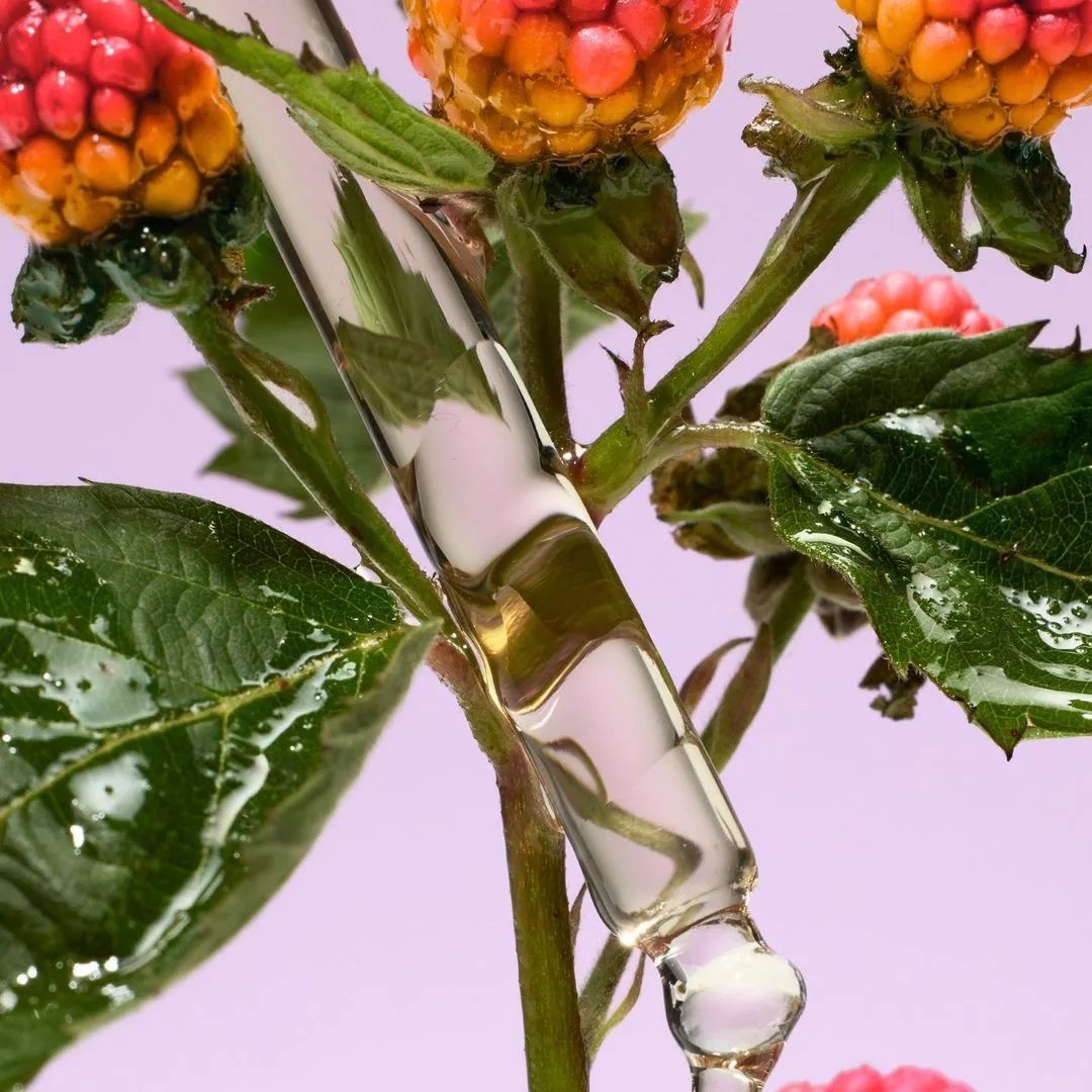 中國美容博覽會(huì)