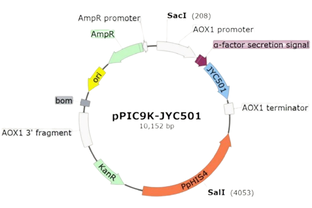 中國美容博覽會